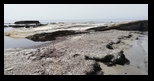 Kefalonia - Kaminia Beach -23-06-2021 - Bogdan Balaban